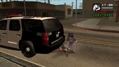 Officer Jenny ジュンサー Pokemon skin mod